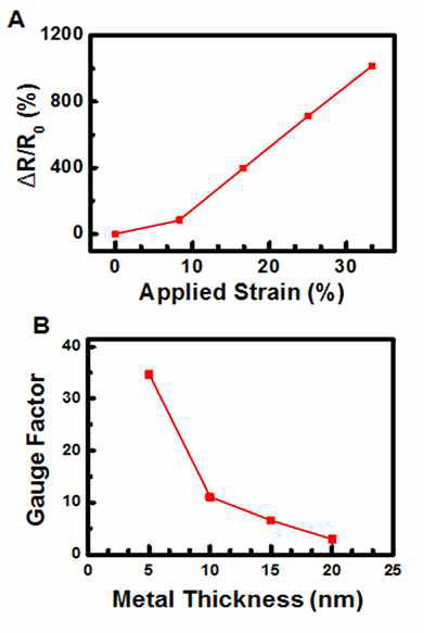 A. s-CNT를 흡착시킨 후, 5nm의 두께의 Au를 증착시킨 샘플의 스트레인-저항 변화율 그래프. B. s-CNT 흡착 후, Au의 두께에 따른 Gauge Factor의 변화량 그래프