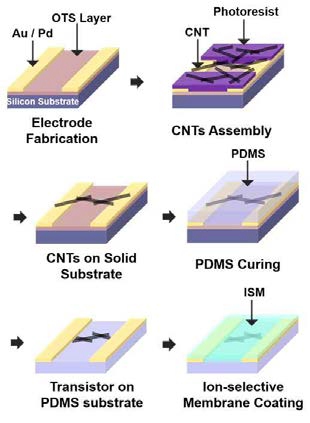 PDMS 기판에 전사된 신축성 나노융합소재 기반 비침습성 생화학 이온 센서의 제작 과정