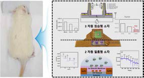 복합 소자 시스템의 동물 적용 가능성 평가