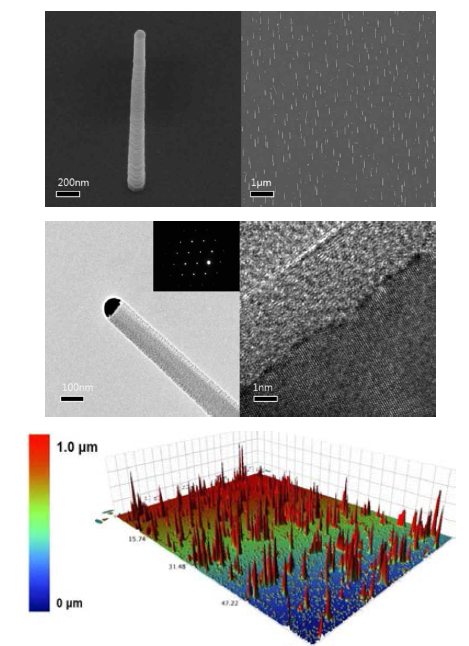 Silicon 기판위에 수직 배향된 SiNWs의 SEM 사진(상)과 TEM 사진(중) OP (optical profiler) 사진(하)