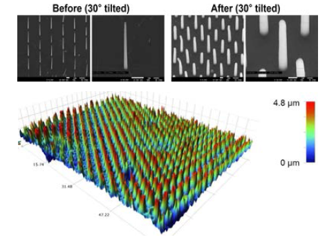 Graphene 상에 성장한 ZnO 나노튜브에 parylene 코팅 전후의 SEM 사진(상단)과 OP 사진(하단)