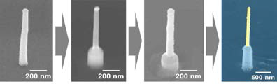 SiNWs 소자 각 제조공정에 따른 SEM 사진.(맨 우측 사진 노란색 부분이 Au, 파랑색 부분은 SiO2)