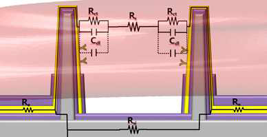 혈액 속에서 인공항체가 결합된 마이크로 기둥의 3d hybrid circuit 모식도