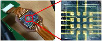 실제 혈액의 순환 시스템과 비슷하도록 micro-fluidic system을 구축