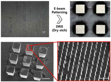 Graphene 위 E-beam lithography 기술을 이용하여 ZnO nanotube를 성장시키기 위한 guide를 형성한 후 DRIE 공정을 통해 침습형 구조물 형성 (상단). 침습형 구조물 위 bottom up 방식을 이용하여 ZnO nanotube를 선택적으로 성장 (하단)