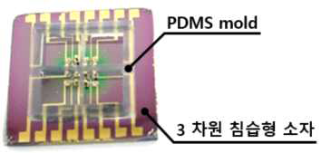 PDMS mold 를 이용하여 3 차원 침습형 구조물의 국부적인 기능화 적용