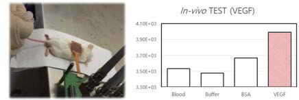 발암물질인 VEGF 의 선택성 in vivo 실험 이미지 (상단)와 그의 따른 임피던스 변화량을 측정한 그래프 (하단)