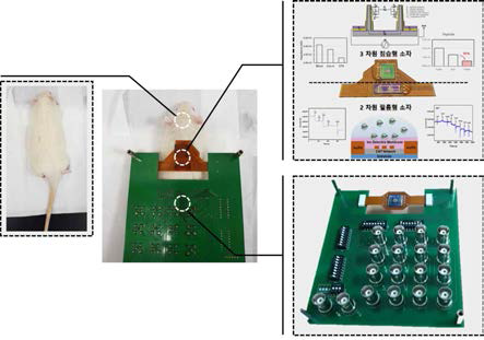 동물 실험에 있어 복합 소자 시스템 상의 문제점 파악 및 개선