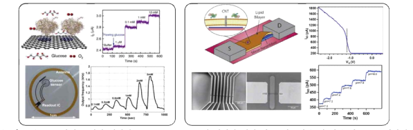 FET 타입 그래핀 센서에 GOx를 linker를 통해 연결한 센서 및 Si 나노리본 위 카본 나노튜브 기반의 맴브레인을 이용한 FET 타입의 pH 센서 (좌: Kim et al., Nature Communications, 2017, 8, 14997, 우: Chen et al., Nano Letters, 2019, 19, 629)