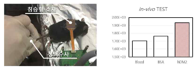 In vivo 실험 중 용액의 정맥 주사 이미지 (좌)와 순환되는 혈액에서 측정된 임피던스 결과 그래프 (우)