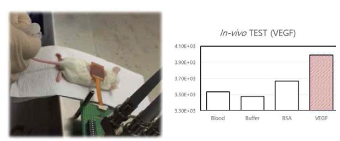 발암물질인 VEGF의 선택성 in vivo 실험 이미지 (좌)와 그의 따른 임피던스 변화량을 측정한 그래프 (우)