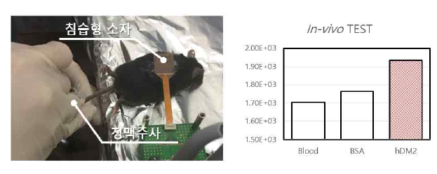 In vivo 실험 중 용액의 정맥 주사 이미지 (좌)와 순환되는 혈액에서 측정된 임피던스 결과 그래프 (우)