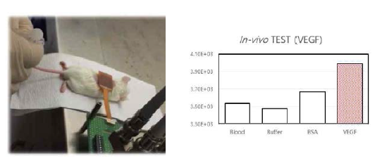 발암물질인 VEGF 의 선택성 in vivo 실험 이미지 (좌)와 그의 따른 임피던스 변화량을 측정한 그래프 (우)