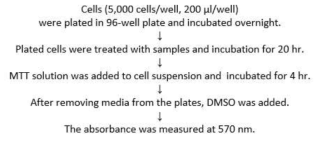 일반 독성 평가 방법-cytotoxicity, MTT assay