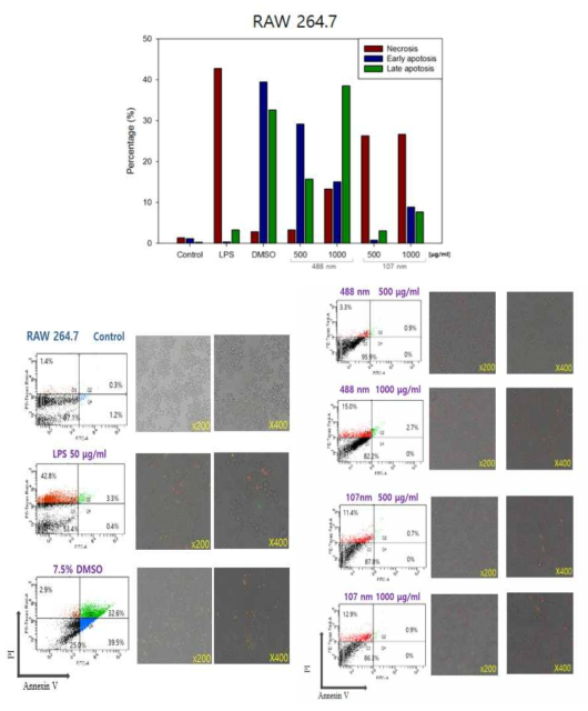 BSA 나노입자가 RAW 264.7 cell의 세포주기 및 세포사멸에 미치는 영향
