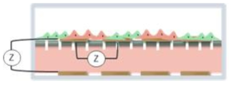 3차원 다중복합 전기신호 세포칩 모식도