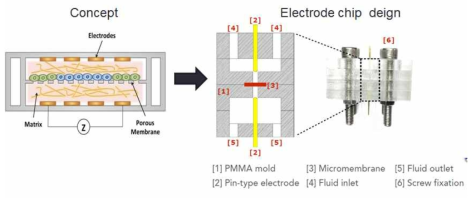 전기화학기반 세포 분석을 위한 전극용 세포칩 모식도