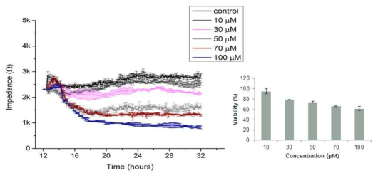 전기화학기반(좌) 및 세포활성 키트(우)를 이용 나노담지체의 세포 독성측정