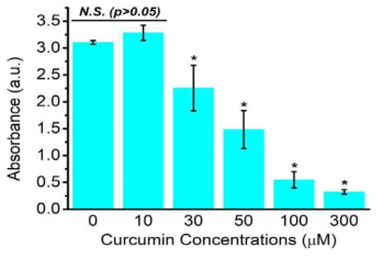 CCK-8으로 분석한 인간신경암세포의 Curcumin 처리 후 세포 활성 분석 결과