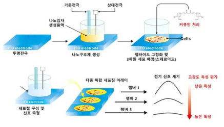 3차원 스페로이드 신경암세포칩 제작 과정 및 전기화학신호 기반 식품나노소재 독성 평가 기술 개요도