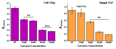 커큐민 농도별 처리 후 광학기반 세포 활성(신경세포)