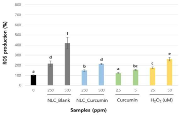 NLC 처리 6시간 후 intracellular ROS 생성 평가