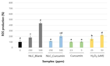 NLC 처리 12시간 후 intracellular ROS 생성 평가