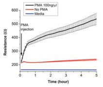 배양 세포에 PMA처리에 따른 전기화학 기반의 저항값 변화측정