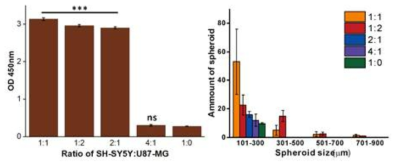 공배양 결과에 따른 3차원 신경세포 스페로이드의 광학기반 세포활성도 측정과 스페로이드 크기 변화