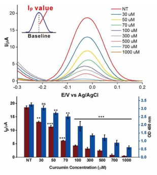 커큐민 농도별 처리 후 전기화학 및 광학기반 세포 신호(신경세포)