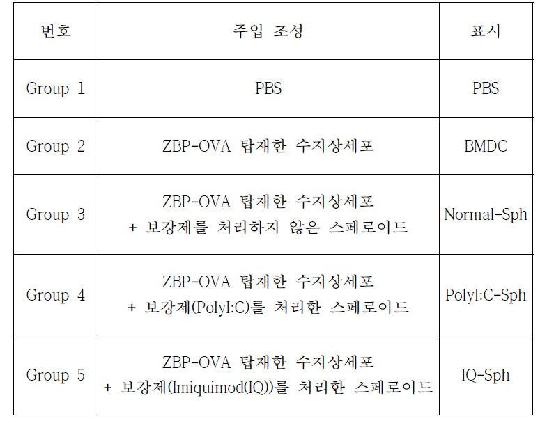 종양억제능력 확인 실험군종양억제능력 확인