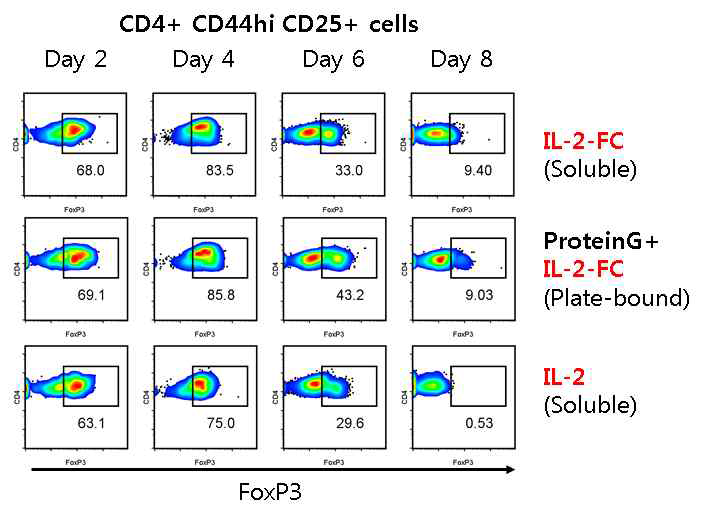 Fc 융합단백질 IL-2에 의한 Treg 세포 분화능 평가