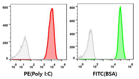MCF의 보강제 (Poly I:C)와 BSA 동시 탑재, 유세포 분석법, Negative 조절 (gray), Poly I:C (red), BSA (green)