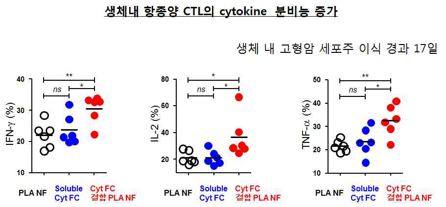 생체 내 항종양 CTL의 사이토카인 분비능 확인