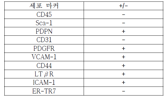 SVF 특성 분석 세포 마커 요약