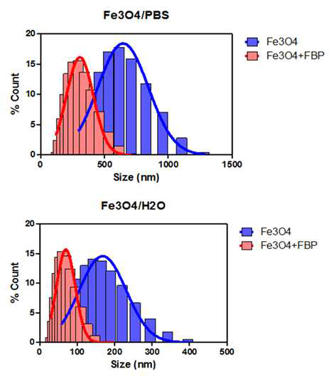 수용액 내 산화철-KLGRSLGRKILRA(FBP) 펩타이드 복합체와 산화철 나노입자의 유체역학적 크기 비교 측정