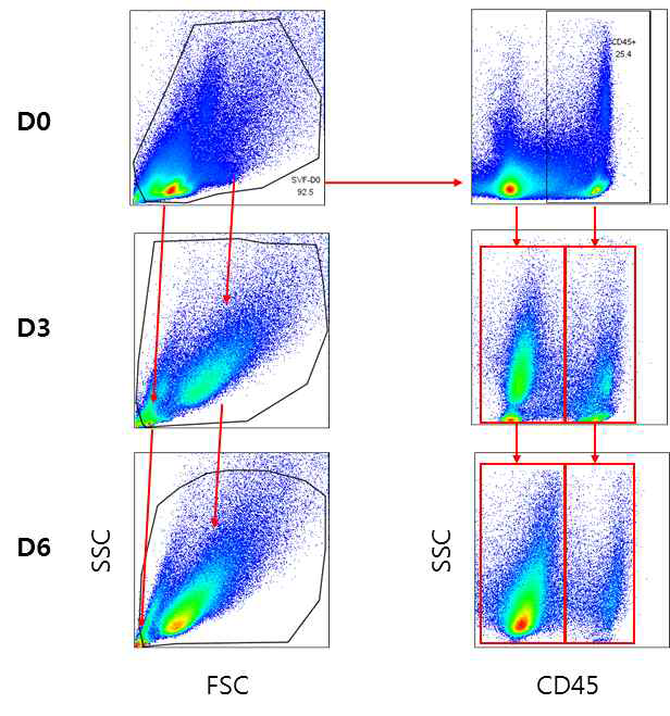 지방조직으로부터 추출한 기질세포 배양시간에 따른 성장 패턴 변화를 보여주는 Flow cytometry 결과. D0 : 추출 직후, D3 : 추출 후 3일 배양한 샘플, D6 : 추출 후 6일 배양한 샘플