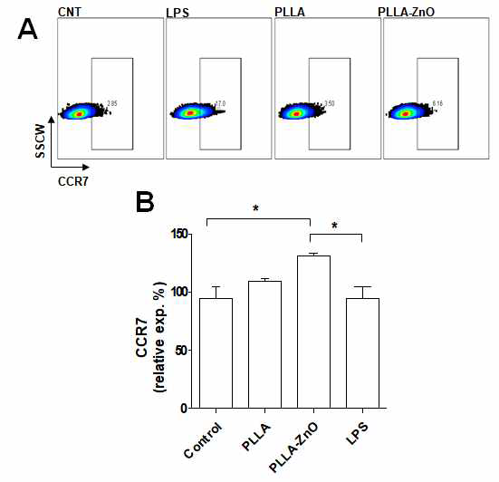 PLA-ZnO에 의한 DC2.4의 CCR7 발현 증가 A. flow cytometry 분석, B. CCR7 의 상대적 퍼센트 비교