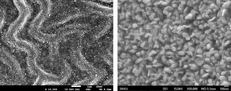은 /고분자다층막 나노복합체의 전자현미경 이미지. 주름구조(좌) 와 플라즈마 공정 이후 입자구조(우)
