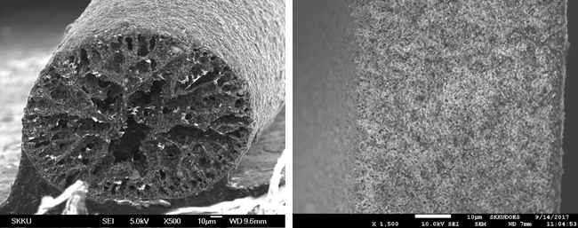 일반 구조의 Ag-PU 섬유(좌)와 hollow 구조의 Ag-PU 섬유(우)의 단면 SEM 이미지. (hollow 구조 섬유의 경우 한쪽 벽의 단면의 이미지임.)