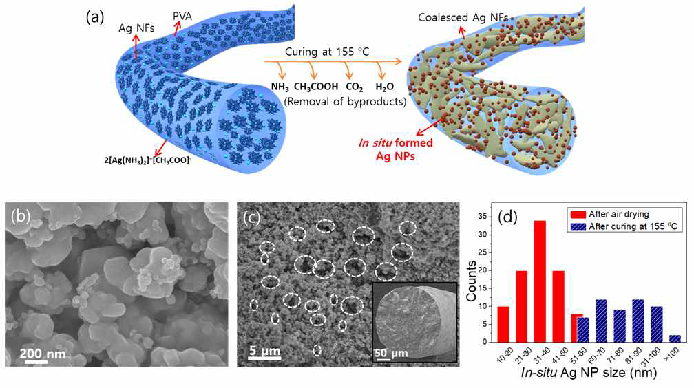 (a) Ag-PVA 섬유 내부에서 curing을 통해 2차 첨가제 in-situ 환원되는 과정의 모식도, (b) 섬유 내부에 1차 첨가제 (Ag NFs)와 Coalescence된 2차 첨가제 (in-situ Ag NPs)의 SEM 이미지, (c) 환원 과정에서 생기는 byproducts에 의해 생성된 void 이미지, (d) 환원 조건에 따른 in-situ Ag NP size 분포도