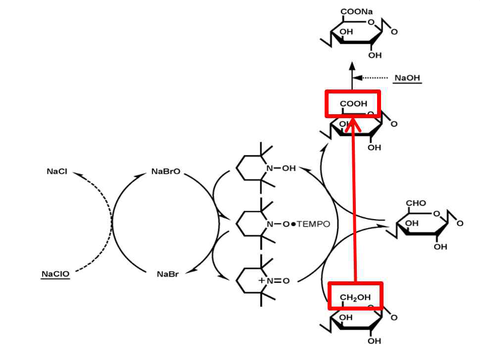 TEMPO산화 과정