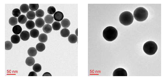 50nm(좌) 및 80nm(우) 크기의 금 나노구체 TEM