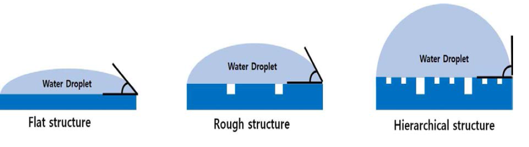 구조 변화에 따른 물방울의 접촉각 및 소수성 변화