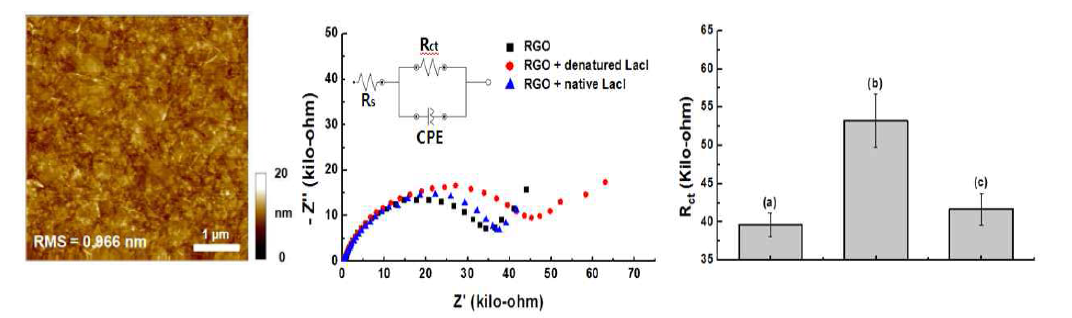 (좌) 그래핀 전극의 AFM 분석 (중) 그래핀 전극 표면에 환경호르몬 검지를 위한 단백질 부착에 따른 임피던스 측정 결과 (우) 임피던스 측정 결과 분석을 통한 전이 저항의 증가 차이
