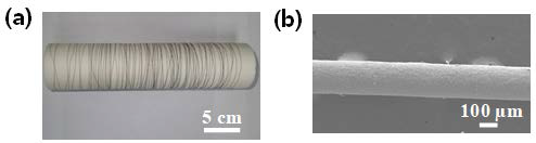 습식방사를 통해 얻은 전도성 섬유의 이미지. (a). Winding drum을 통해 얻은 섬유 다발 (길이 ≈ 50m) (b). 주사전자현미경 이미지 (직경 ≈ 200 μm) [ACS NANO, 9, 10876]