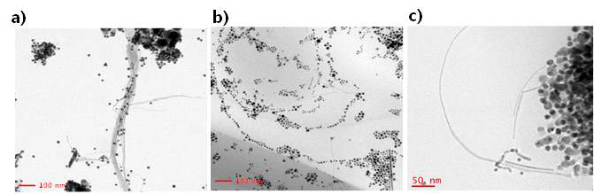 HAuCl4+AgNO3+ODA를 이용하여 다양한 온도에서 4시간 반응시킨 나노 구조체의 TEM 이미지. a) 80 oC 반응 b) 90 oC 반응 c) 110 oC 반응 결과물