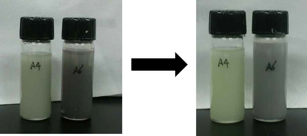 AgNO3+DA+DDAB+Toluene을 이용하여 80 oC 각각 4시간 (A4), 6시간 (A6) 반응시킨 용액 모습 (좌) 세척전 (우) 세척 후