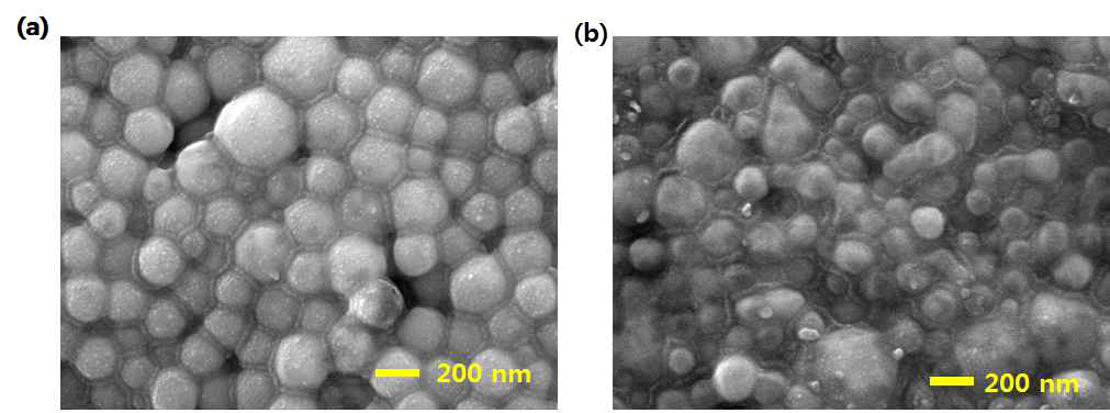 AgNO3+DA+DDAB+Toluene을 이용하여 80 oC 각각 4시간 (a), 6시간 (b) 반응시킨 용액내에서 생성된 은 입자의 SEM 이미지