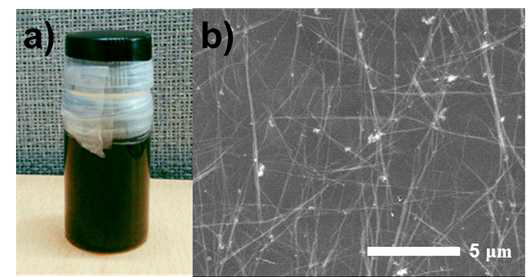 CuCl2+HDA+Glucose+DI H2O를 이용하여 합성한 구리 나노와이어 용액 사진 (a) 및 SEM 이미지